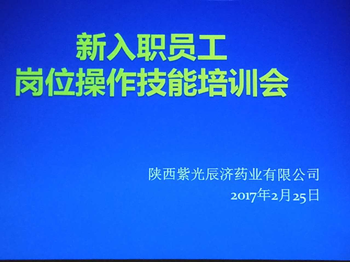 2024年新澳门管家婆资料大全